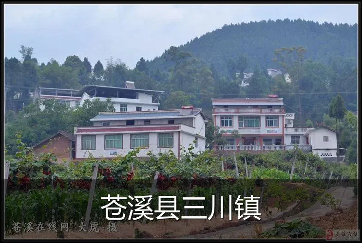 苍溪县三川镇