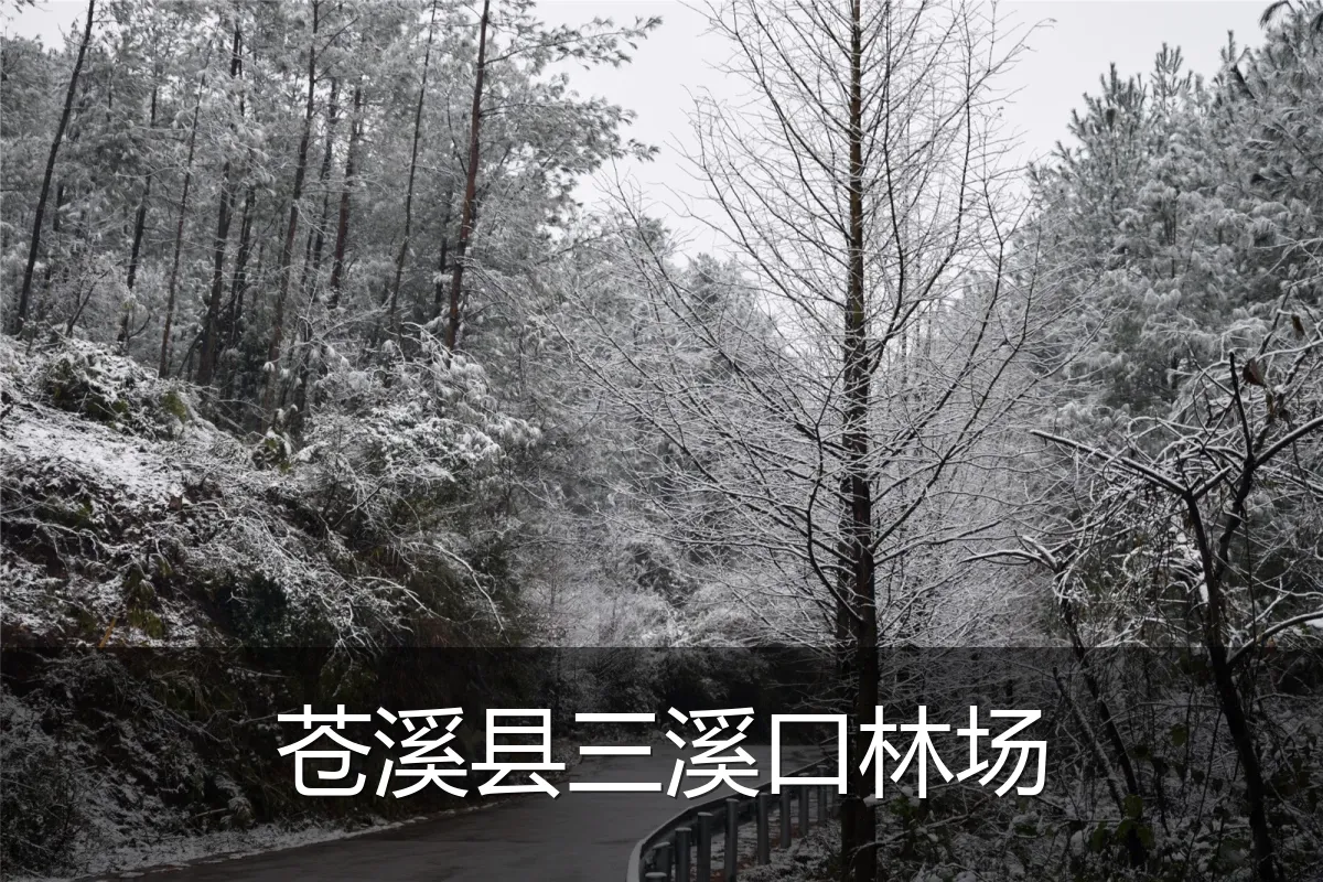 苍溪县三溪口林场