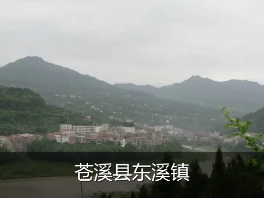 苍溪县东溪镇