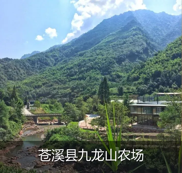苍溪县九龙山农场
