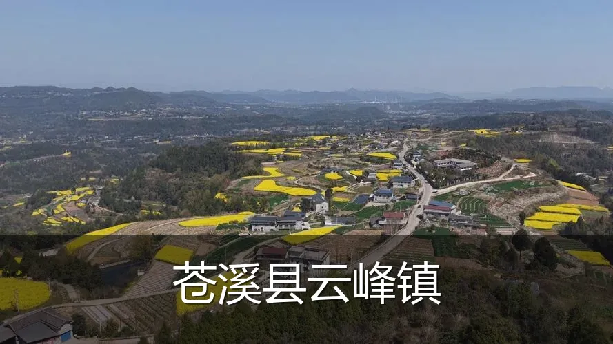 苍溪县云峰镇