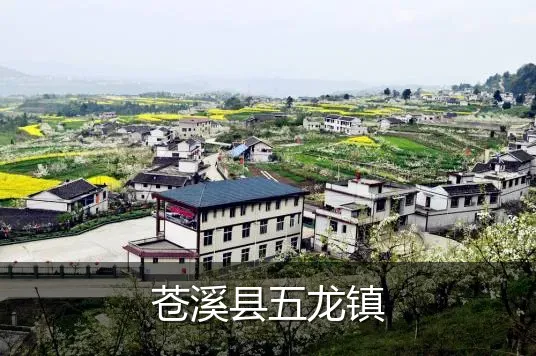 苍溪县五龙镇