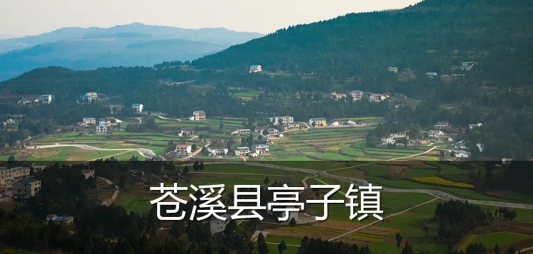 苍溪县亭子镇