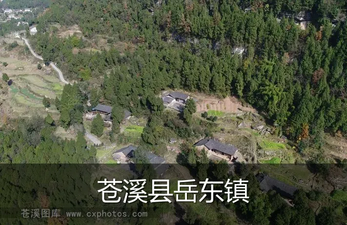 苍溪县岳东镇