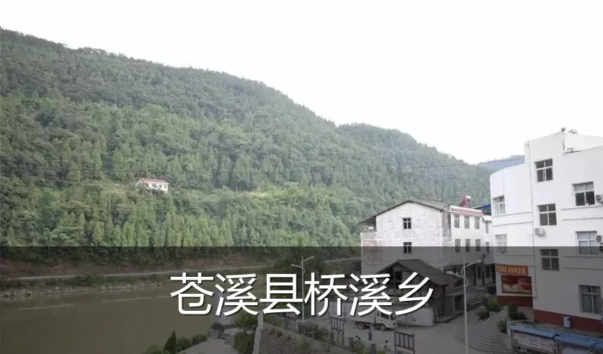 苍溪县桥溪乡