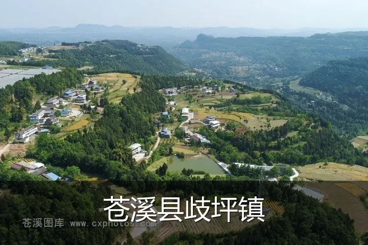 苍溪县歧坪镇