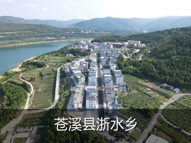 苍溪县浙水乡