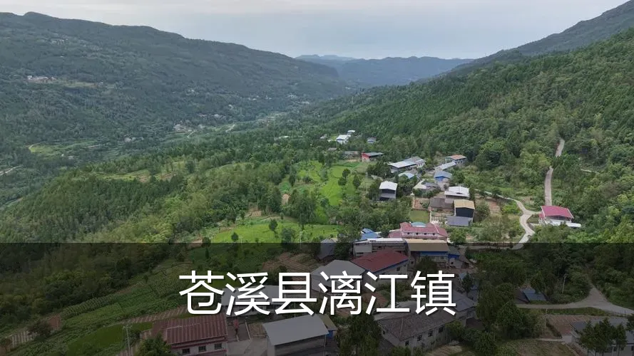 苍溪县漓江镇