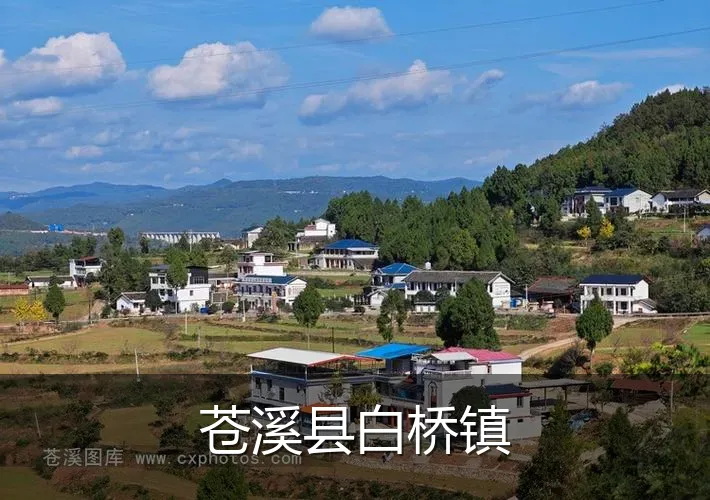 苍溪县白桥镇