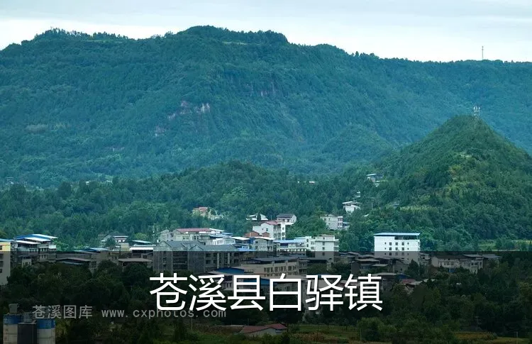 苍溪县白驿镇