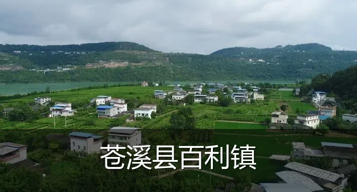 苍溪县百利镇