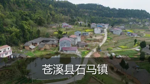 苍溪县石马镇
