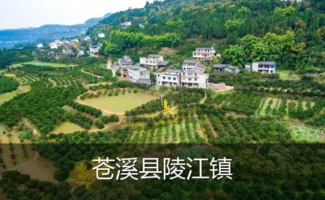 苍溪县陵江镇