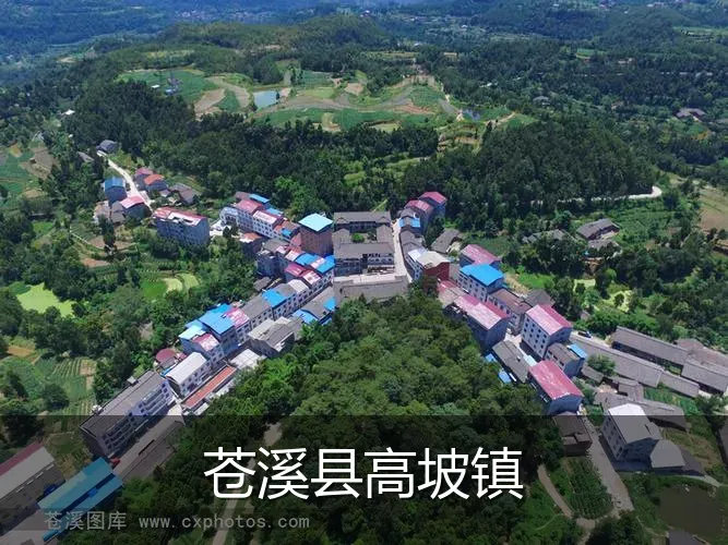 苍溪县高坡镇