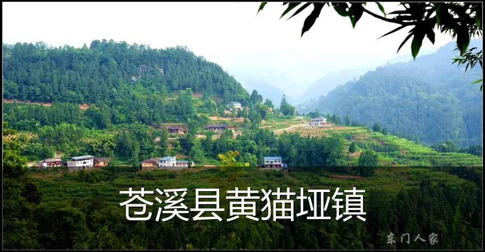 苍溪县黄猫垭镇