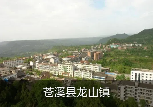 苍溪县龙山镇