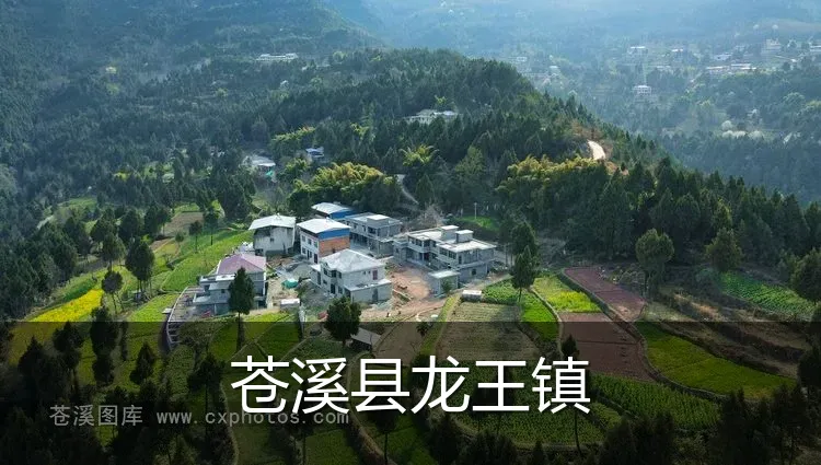 苍溪县龙王镇